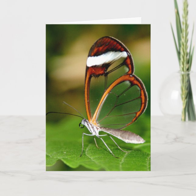 Glass Wing Card (Front)