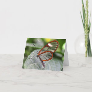 Glasswing Butterfly notecard