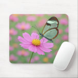 Glasswing Butterfly On a Cosmos Flower Mouse Pad<br><div class="desc">A delicate glasswing butterfly with transparent wings gently settles on a vibrant pink cosmos flower, creating a dreamlike scene enhanced by a soft focus background</div>