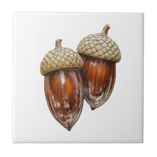 Glassy Acorns Tile