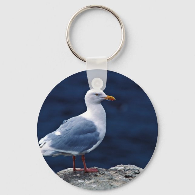 Glaucous Gull Key Ring (Front)