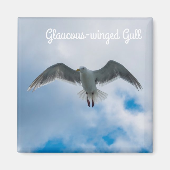 Glaucous-winged Gull Magnet (Front)