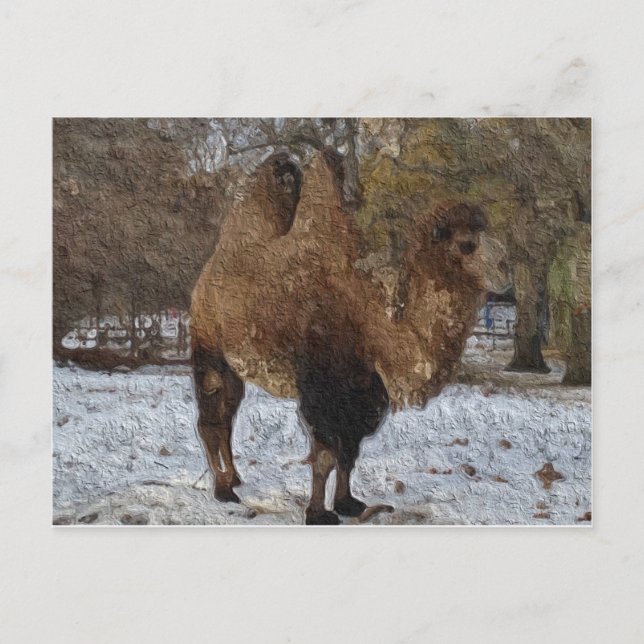 Glazed Camel Art Postcard (Front)