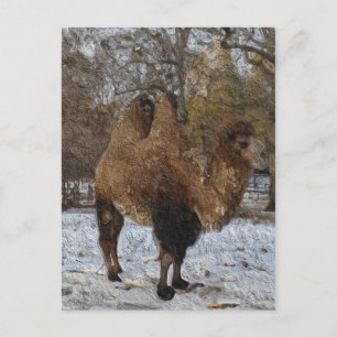 Glazed Camel Art Postcard