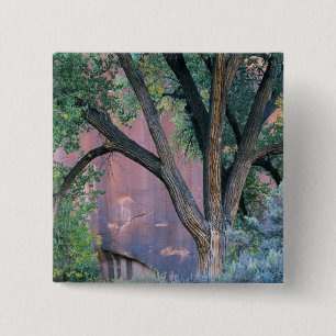 Glen Canyon National Recreation Area, Utah. USA. 15 Cm Square Badge
