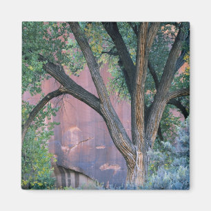 Glen Canyon National Recreation Area, Utah. USA. Magnet