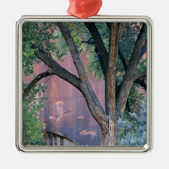 Glen Canyon National Recreation Area, Utah. USA. Metal Tree Decoration (Front)