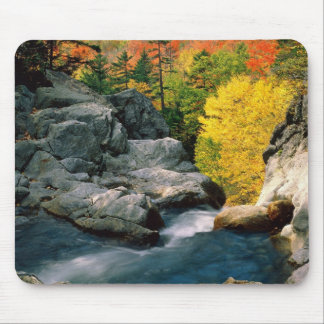Glen Ellis Falls Mouse Pad