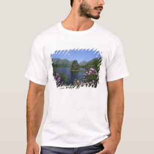 Glen Etive, Highlands, Scotland T-Shirt