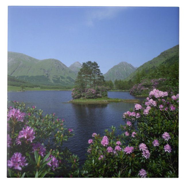 Glen Etive, Highlands, Scotland Tile (Front)