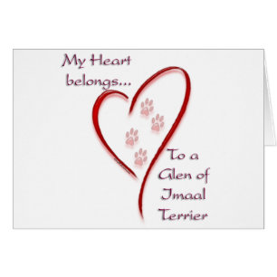 Glen of Imaal Terrier Heart Belongs