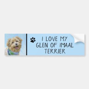 Glen of Imaal Terrier Painting - Original Dog Art Bumper Sticker