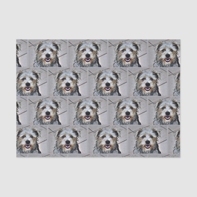 Glen of Imaal Terrier Tissue Paper (Front)