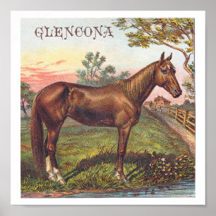 Glencona Vintage Chestnut Racing Horse Poster