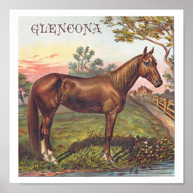 Glencona Vintage Chestnut Racing Horse Poster (Front)