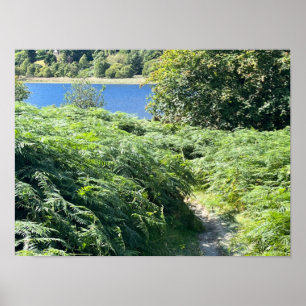 Glendalaugh Lakes County Wicklow Ireland Europe Poster