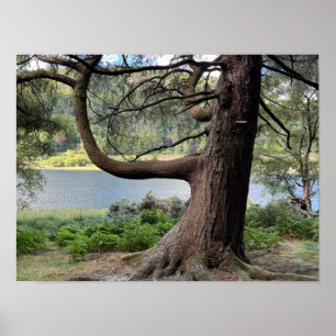 Glendalaugh Lakes County Wicklow Ireland Europe Poster