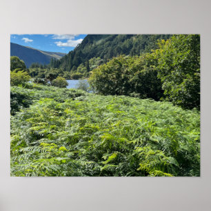 Glendalaugh Lakes County Wicklow Ireland Europe Poster