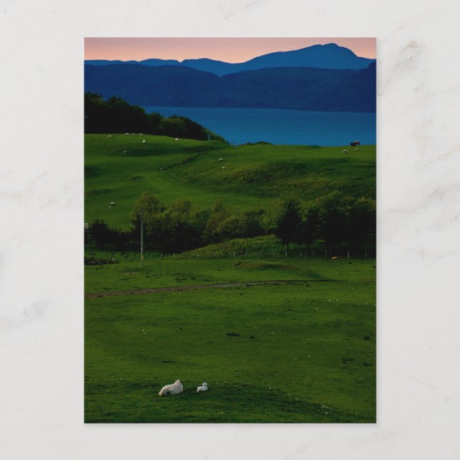 Glengorm Castle Postcard 2 (Front)