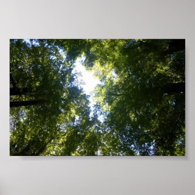 Glenorchy, NZ Poster (Front)