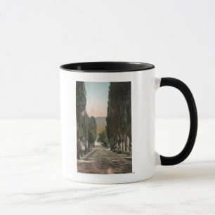 Glenwood Springs, Colorado Mug