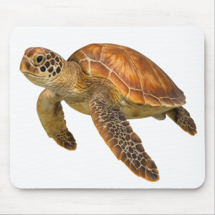 Glider of the Blue Mouse Pad
