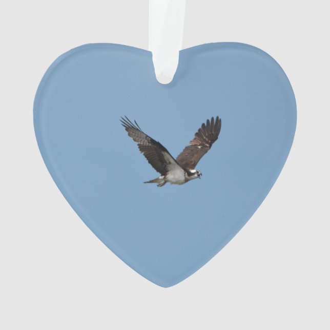 Gliding Osprey Ornament (Back)
