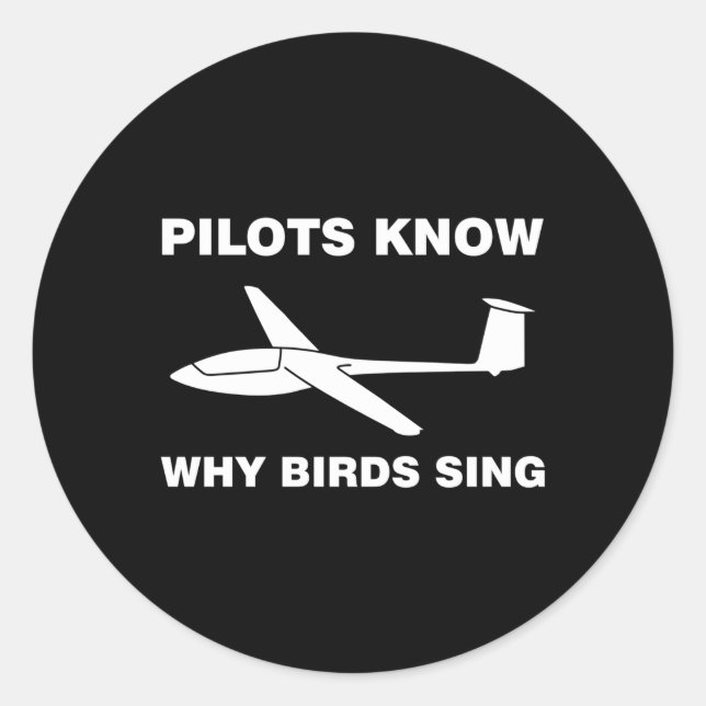 Gliding Soaring Pilot Glider Sailplane Birds Classic Round Sticker (Front)