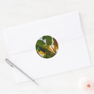 Glimpse of Maldives Classic Round Sticker