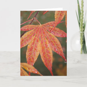 Glistening Leaves Card