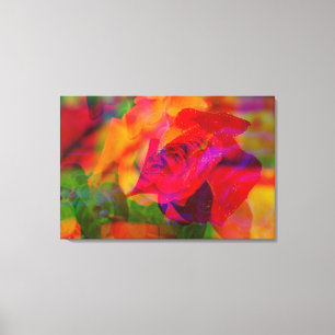 GLITCH ART of a wet rose on stretched canvas print