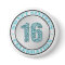Glitter Aqua Blue Sweet 16 Celebration Buttons