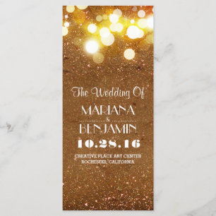 glitter shimmer golden blush string lights program programme