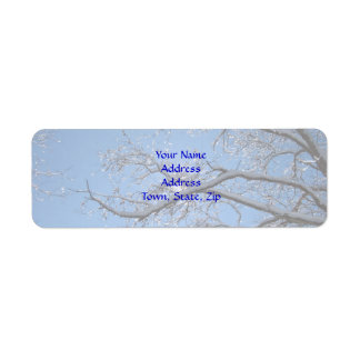 Glittering Ice and Snow Covered Trees