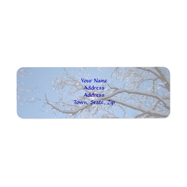 Glittering Ice and Snow Covered Trees (Front)