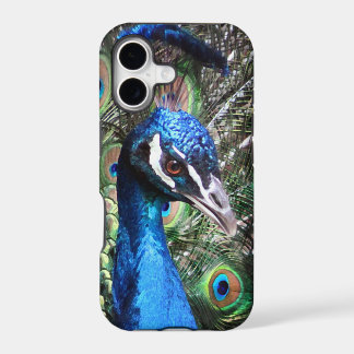 Glitzy Peacock
