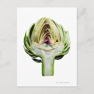 Globe artichoke half cut out postcard