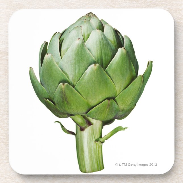 Globe Artichoke on White Background Cut Out Coaster (Front)