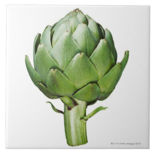 Globe Artichoke on White Background Cut Out Tile