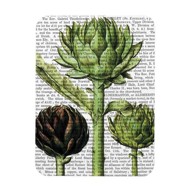 Globe Artichoke Print 2 Magnet (Vertical)