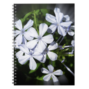 Globe of flowers notebook