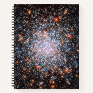 Globular Cluster NGC 1866 Notebook