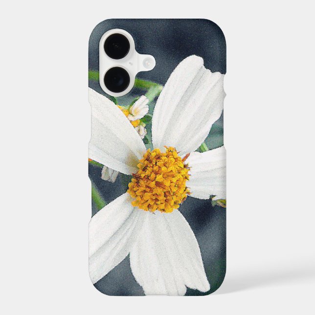 Glorify the lawn weed. (Back)