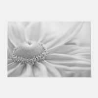 Gloriosa Daisy Macro 