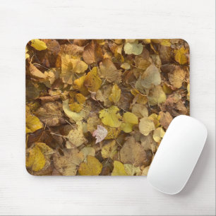 Glorious Autumn on a Mouse Pad (4)