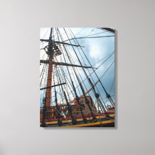 Glorious Bounty Canvas Print