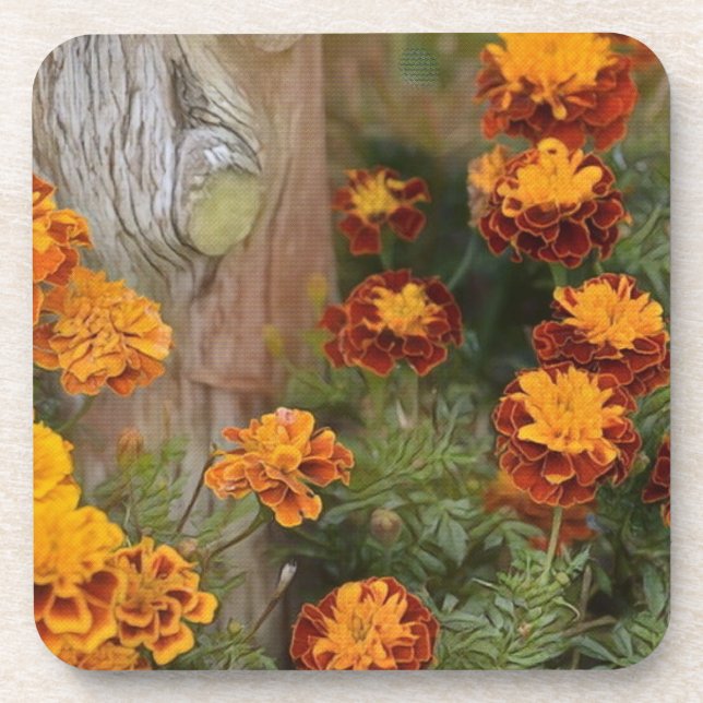 Glorious Marigolds Coaster (Front)