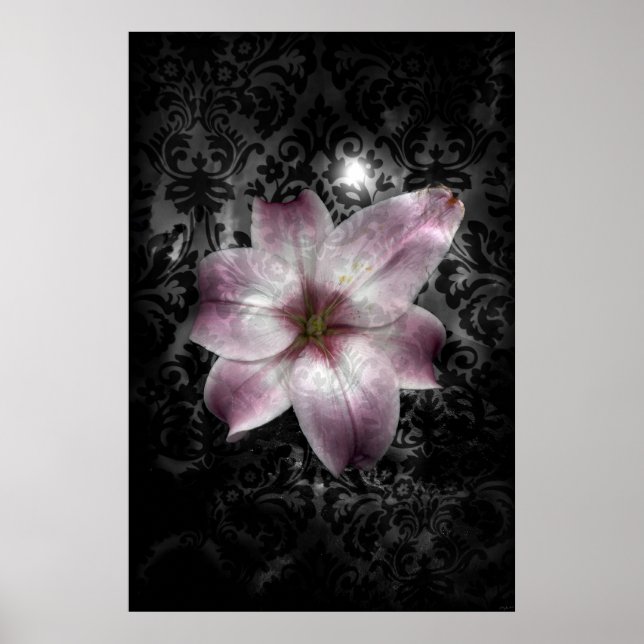 Glorious Mystery Poster (Front)