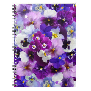 Glorious pansies, pretty and colourful, notebook