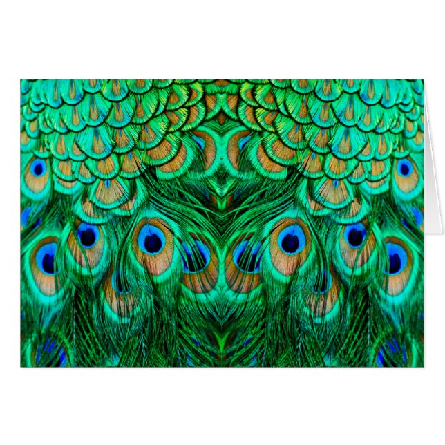 Glorious Peacock Feathers (Front Horizontal)